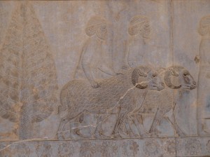 Persepolis (065) 